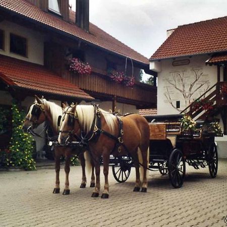 באד פיסינג Appartementhaus "Haflinger Hof" מראה חיצוני תמונה